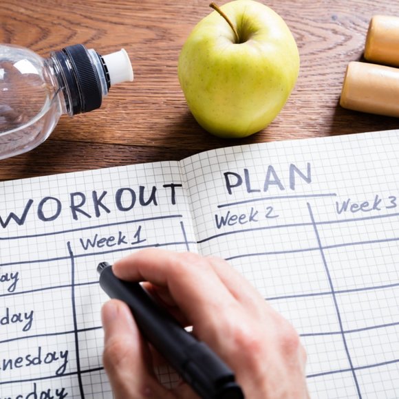 Anatomy of fitness, personal training book , Diary - Picture 3 of 4